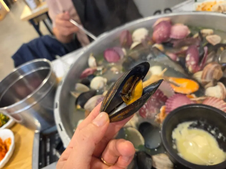 Plump clams and mussels in the pot