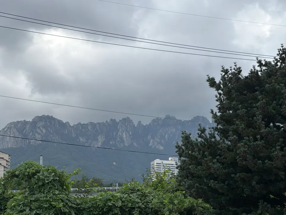 식당 앞에서 바라본 설악권 울산바위 풍경