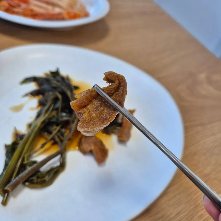 살이 두툼하게 붙은 오리 다리 한 점