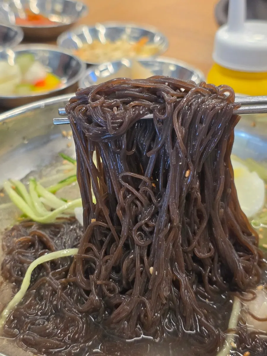 Generous serving of mul-naengmyeon alongside pork ribs