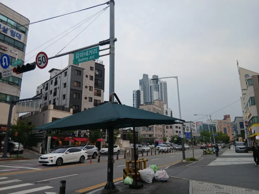 대전 서구 갈마네거리 거리 풍경