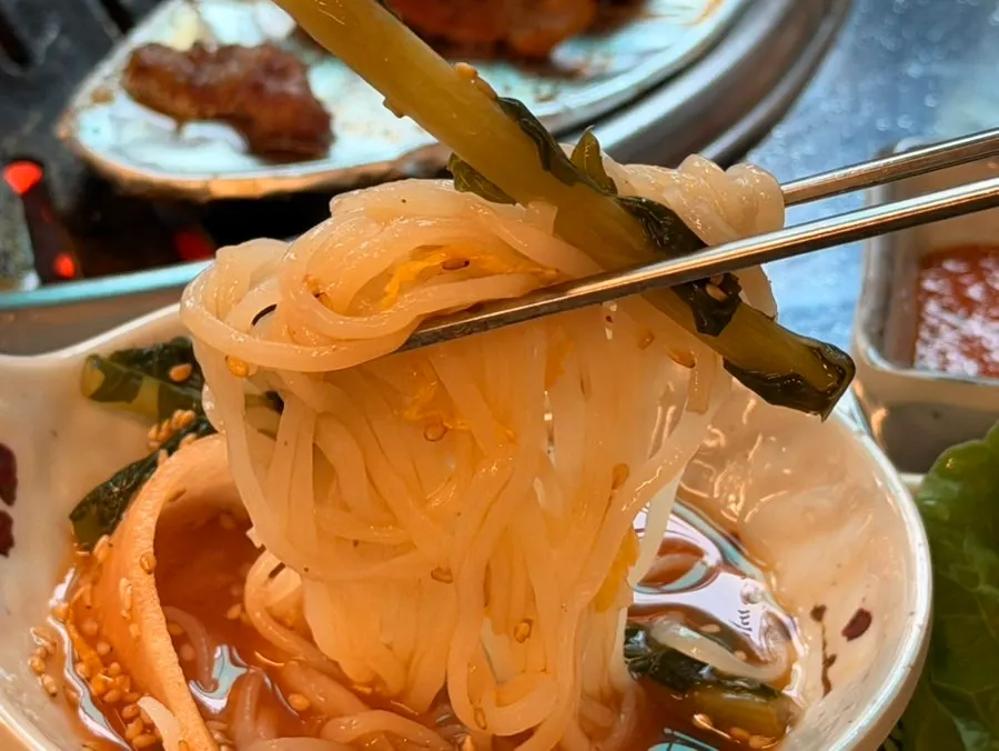 Noodles and ingredients in yeolmu kimchi noodle soup