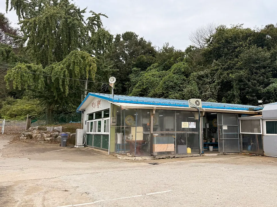 초록빛 강화도 시골 풍경
