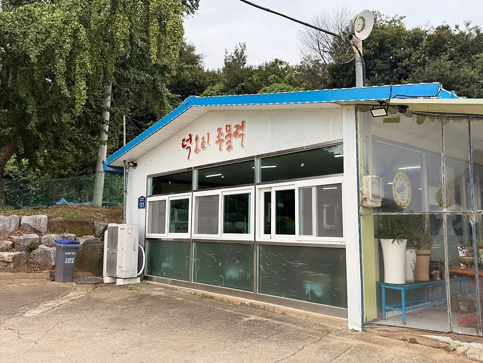 식당 주변 자연 풍경