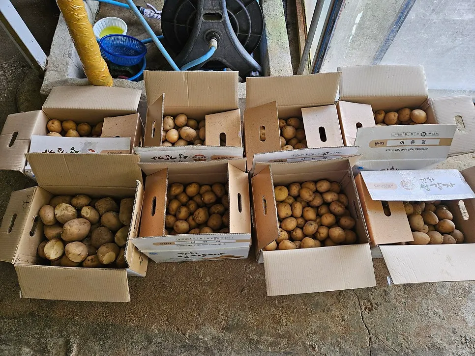 Potatoes at the restaurant entrance