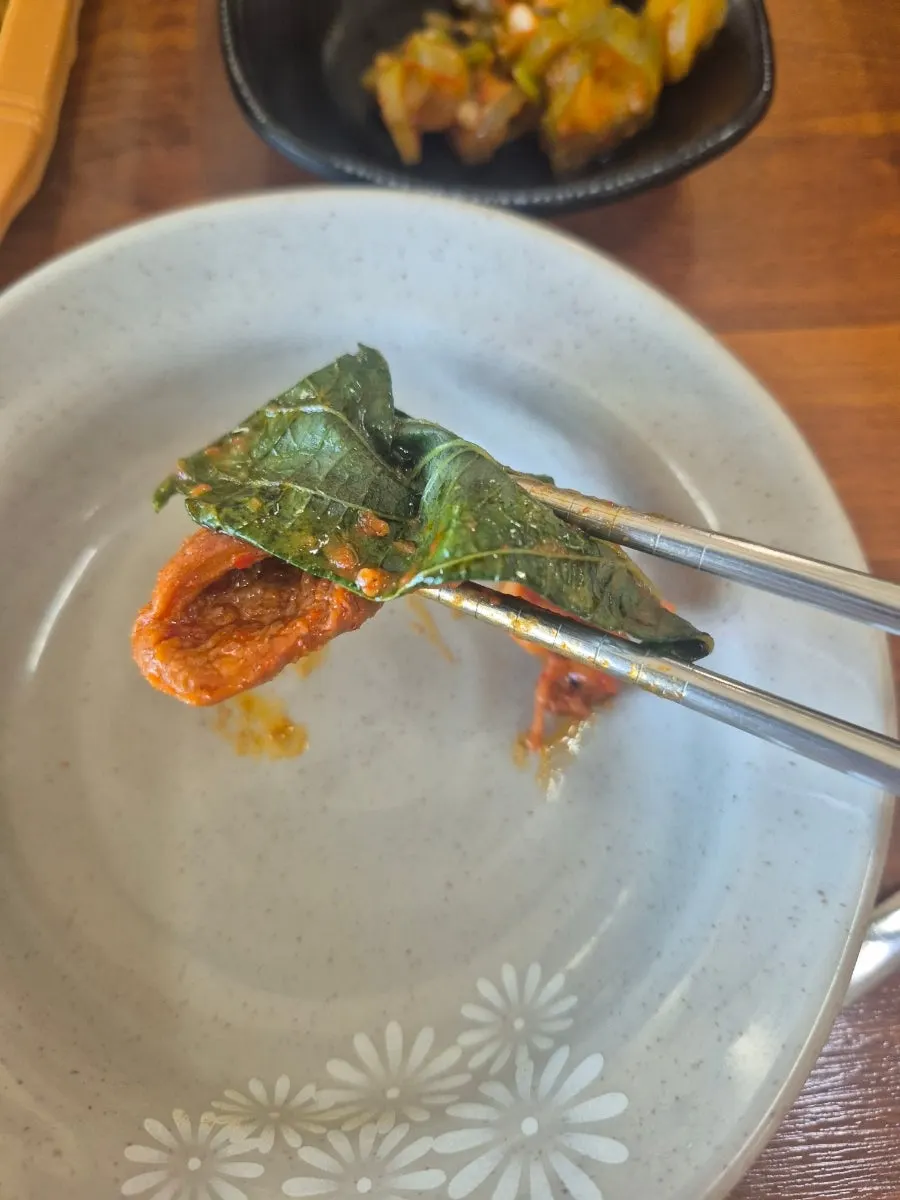 쌉싸름한 맛의 삼채 클로즈업
