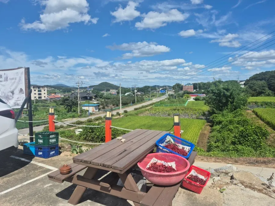 식사 후 바라본 강화도 풍경