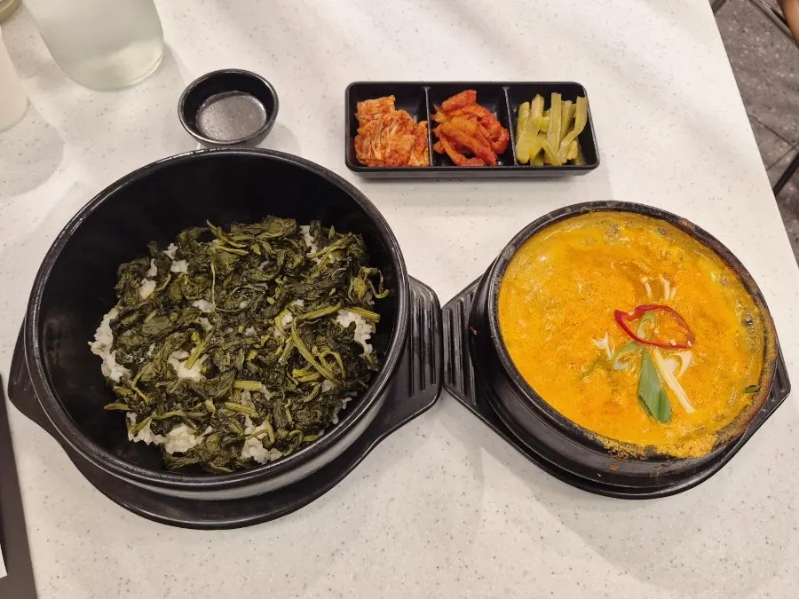 강문 타임스퀘어점 곤드레밥 혼밥 상차림