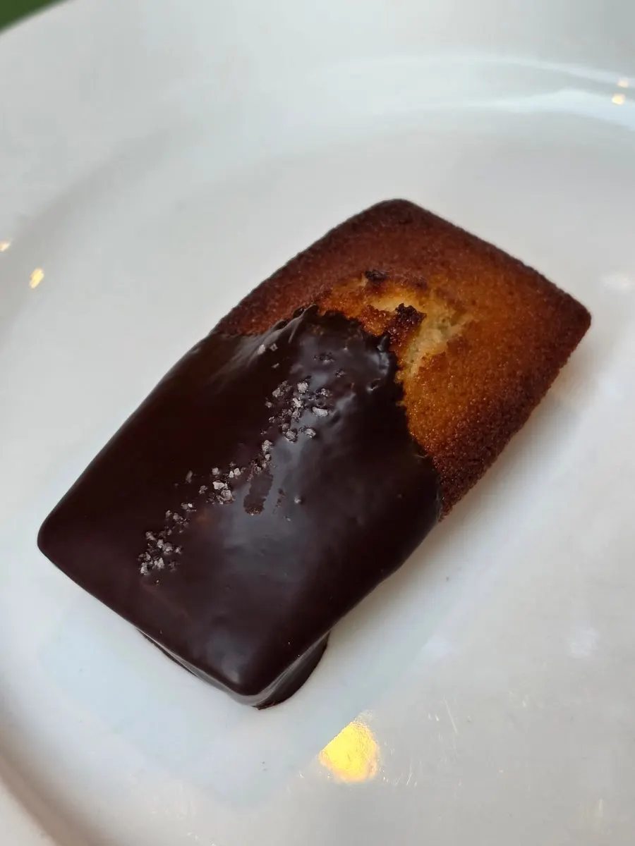 A single salted choco financier
