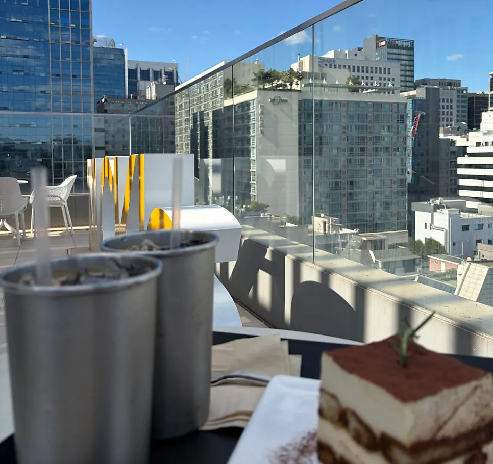 Rooftop of Selected Nicks with a view of Gangnam