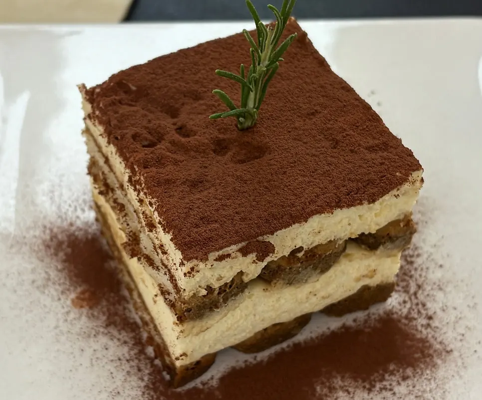 Cross-section of tiramisu showing separated bread and cream layers