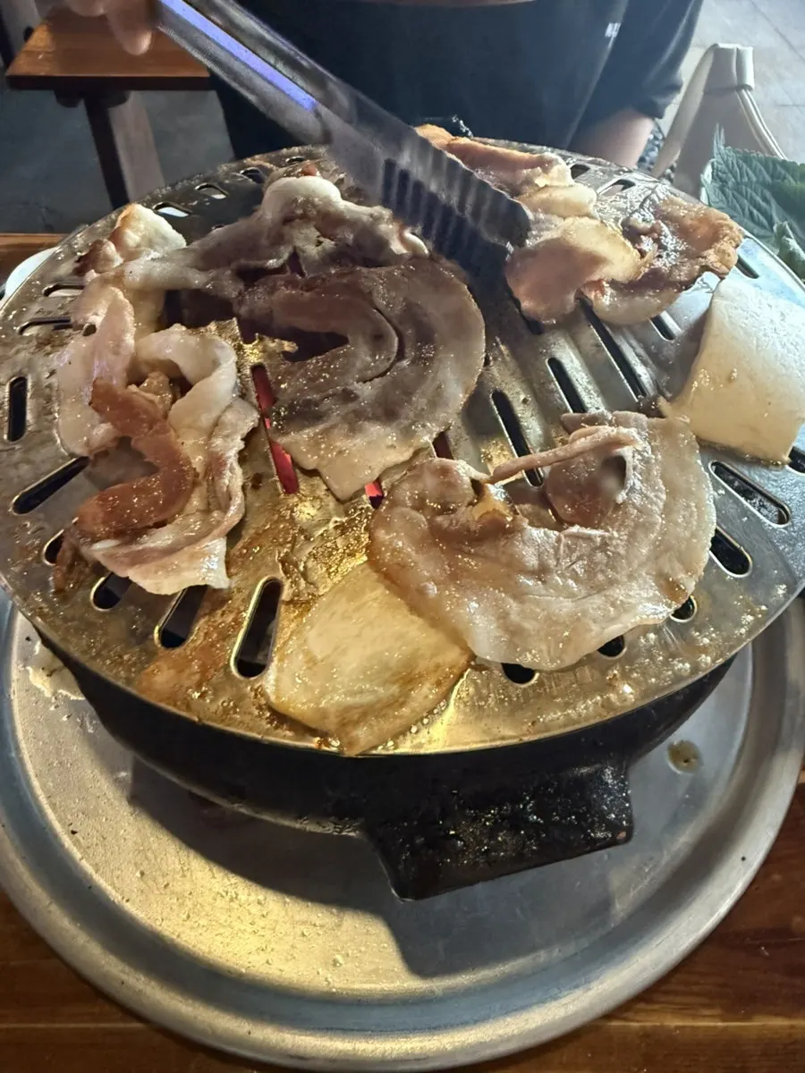 Grilled meat with glistening juices