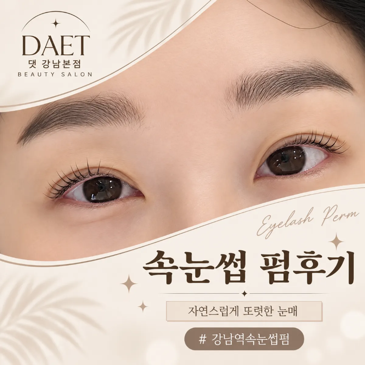 Main image of the nutrition + tint lash lift at Daet Gangnam Main Branch