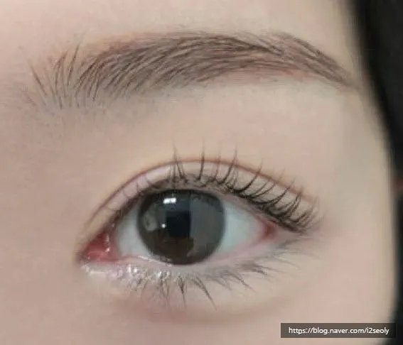 Front view of the lash curl right after the lash lift