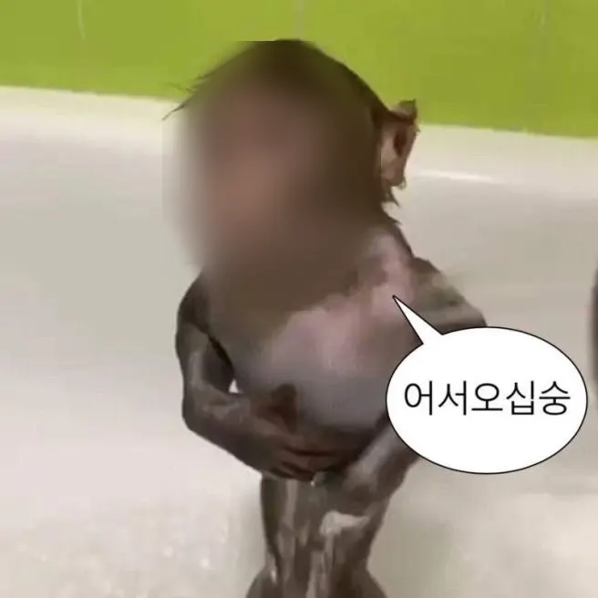 슈퍼왁싱 강남 내부에 마련된 샤워실