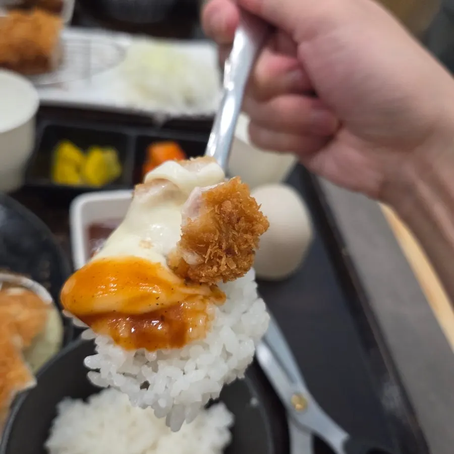Pork cutlet dishes served on the table