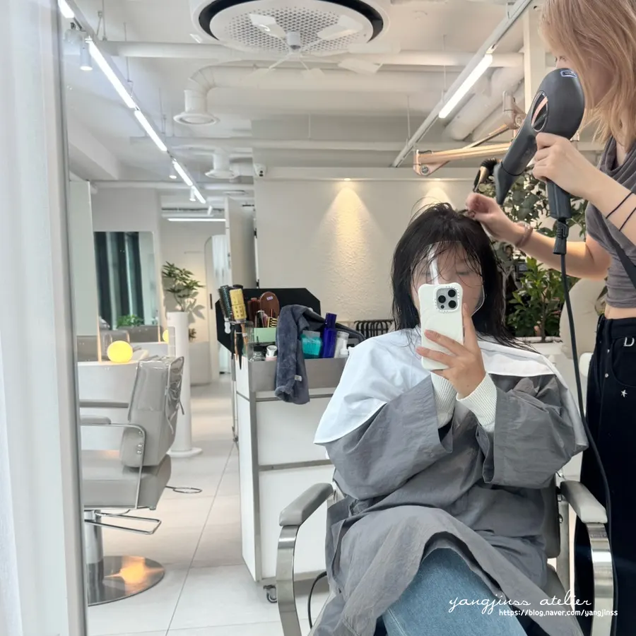 Hair condition before the dye, showing faded color