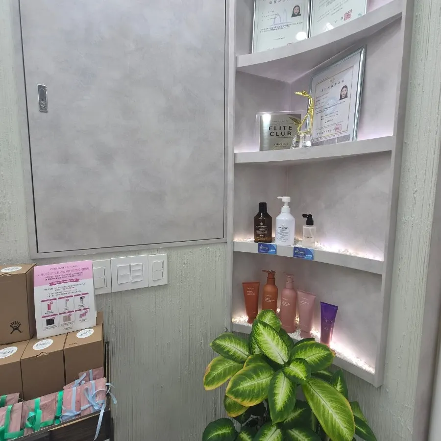 Tidy salon interior decor