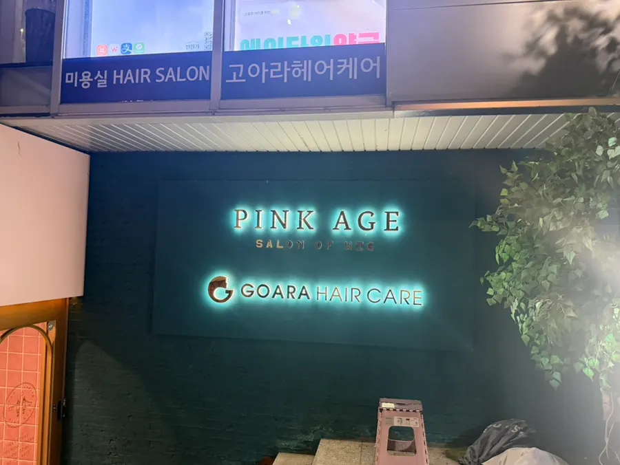 고아라헤어케어 강남점 톤다운 염색 후 모습