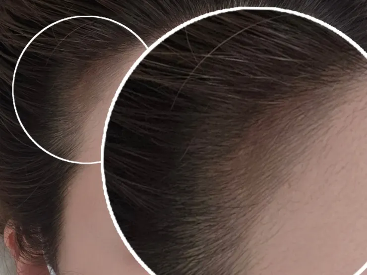 Close-up of hair stroke strands and density