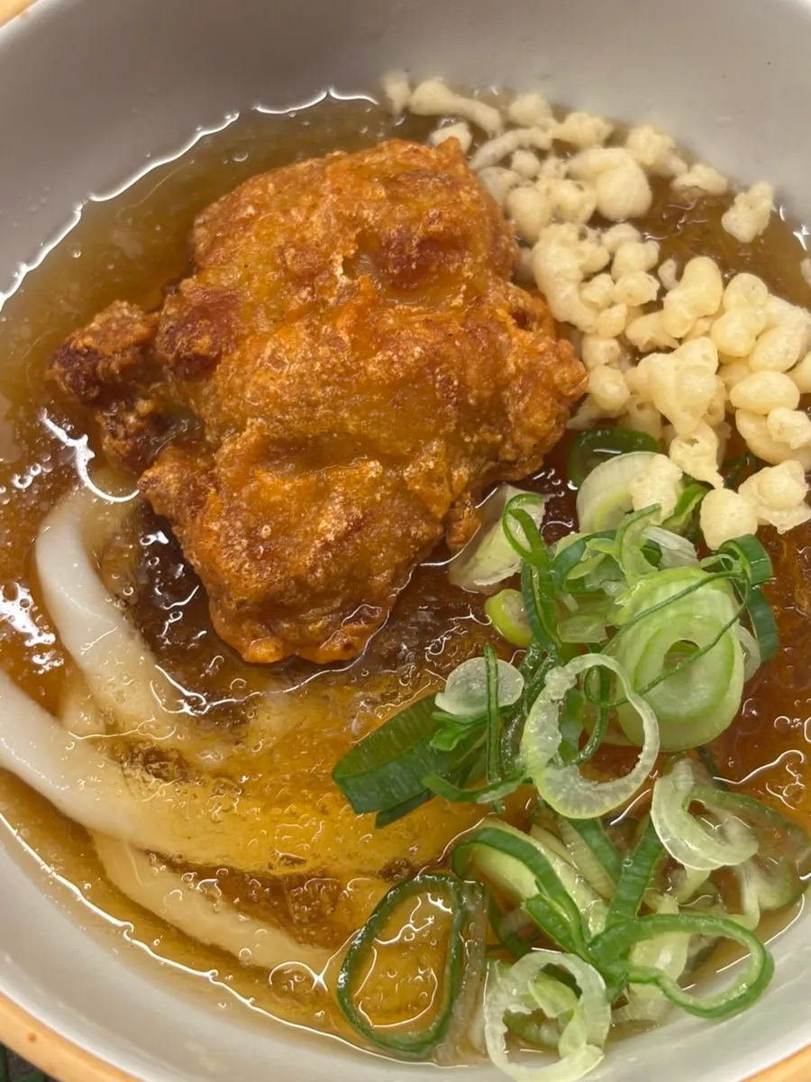 Cold udon topped with chicken