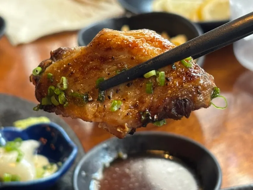 Chicken yakitori skewers of different cuts