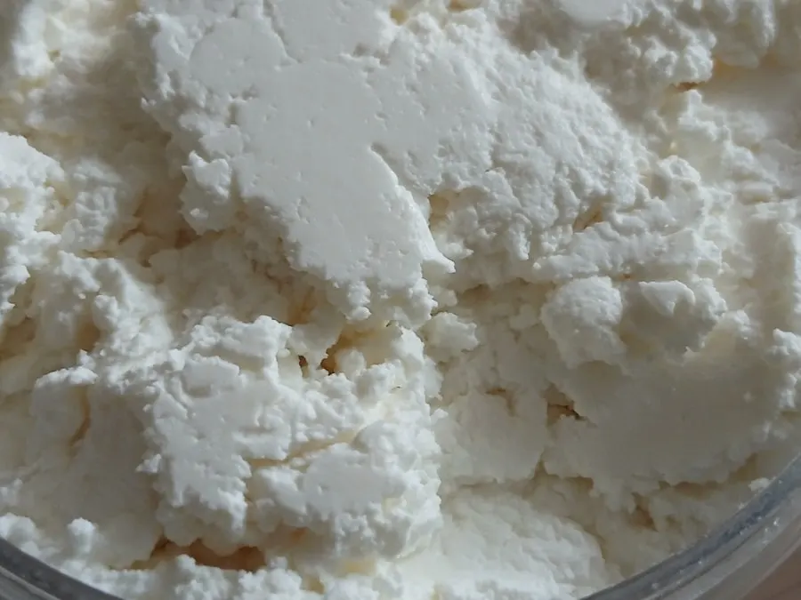 Plain Greek yogurt with a clean flavor