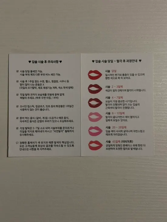 입술문신 관리 안내 자료
