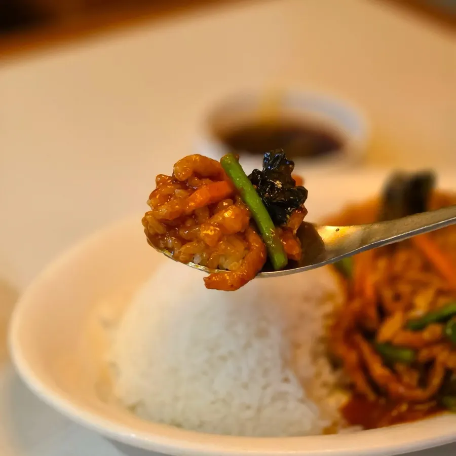肉と野菜をご飯に乗せた一さじ