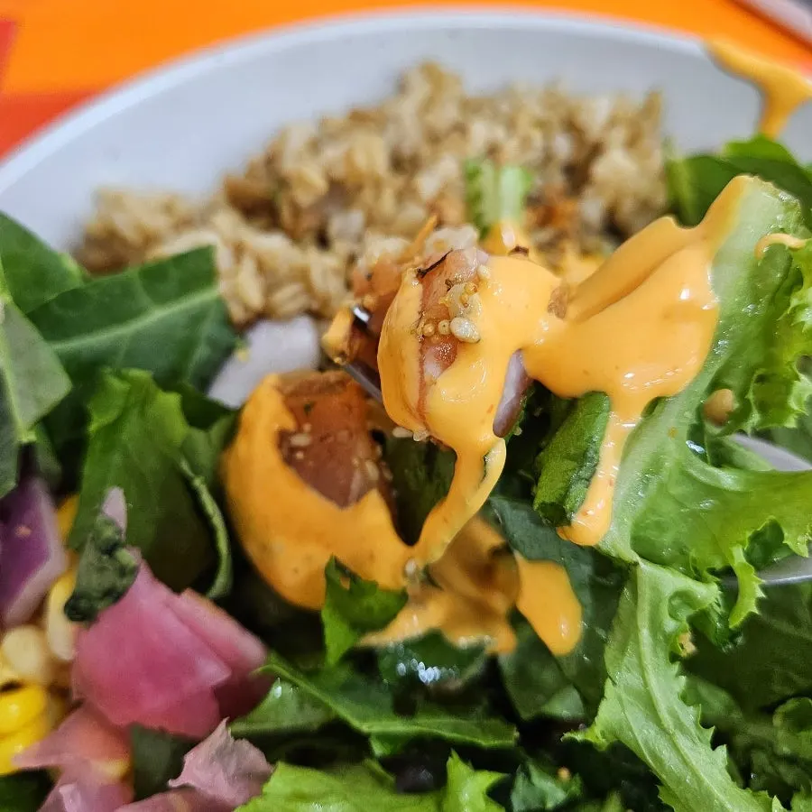 Salmon poke with just a light drizzle of sauce