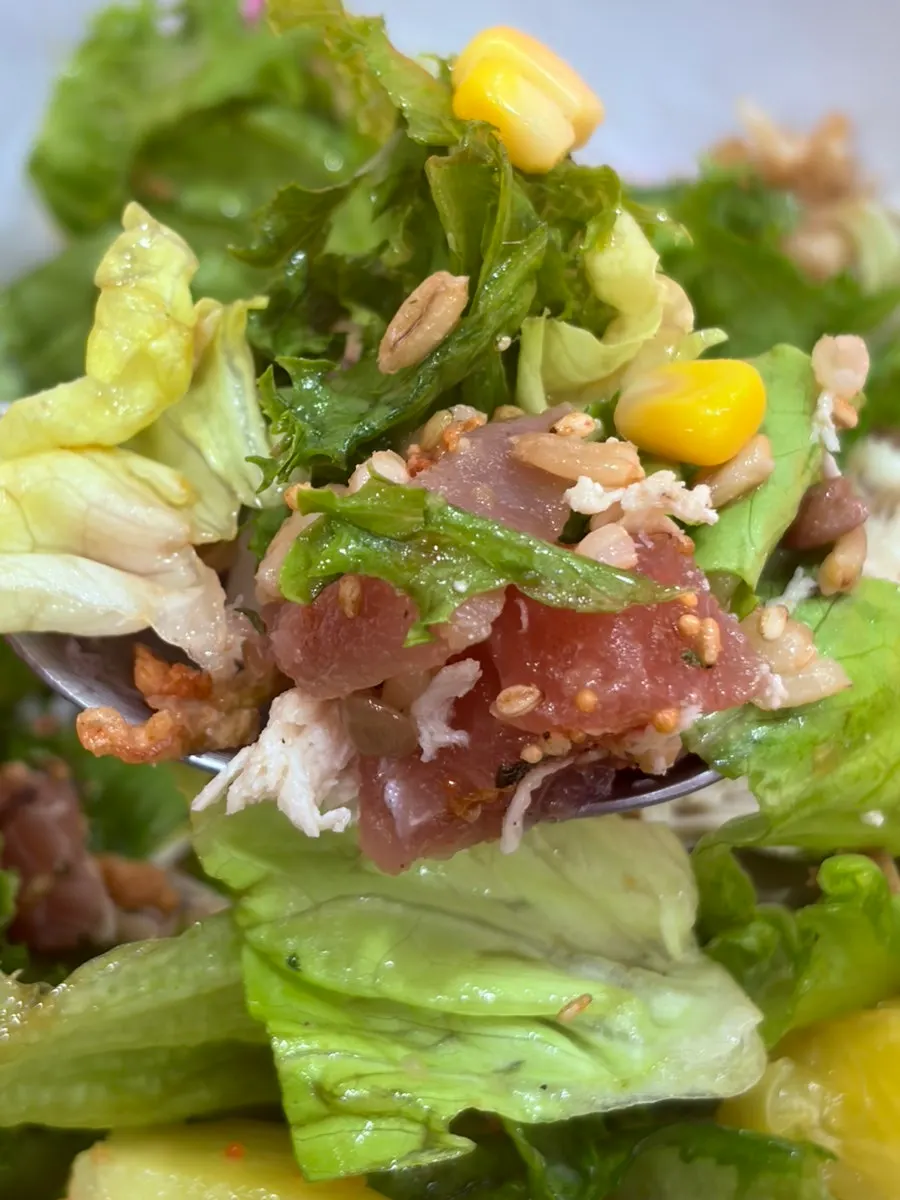 Close-up of finely shredded chicken breast topping