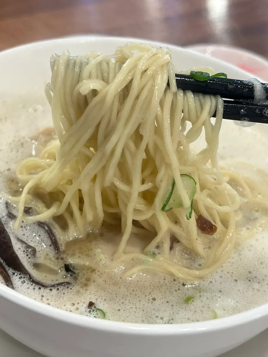 뜨겁게 나온 토리빠이탄 라멘