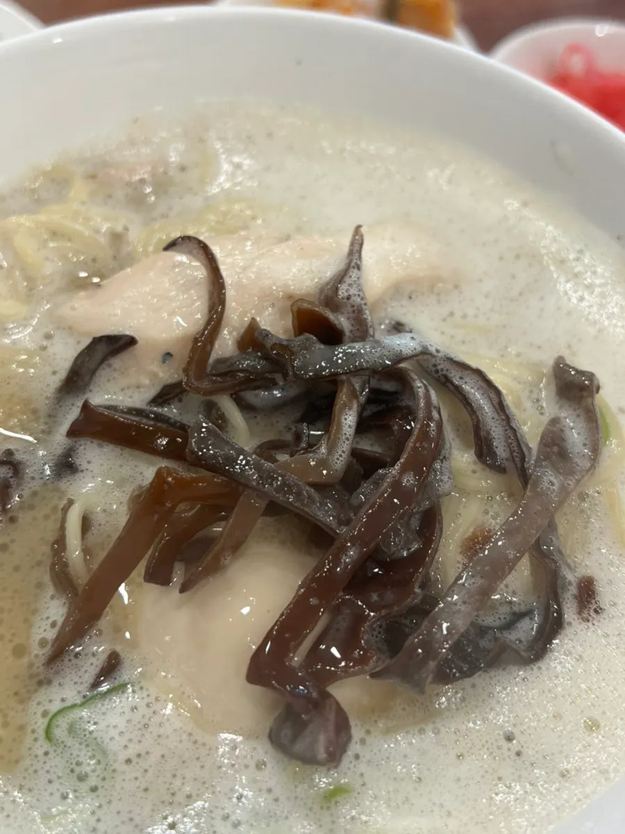 토리빠이탄 무료 리필 안내