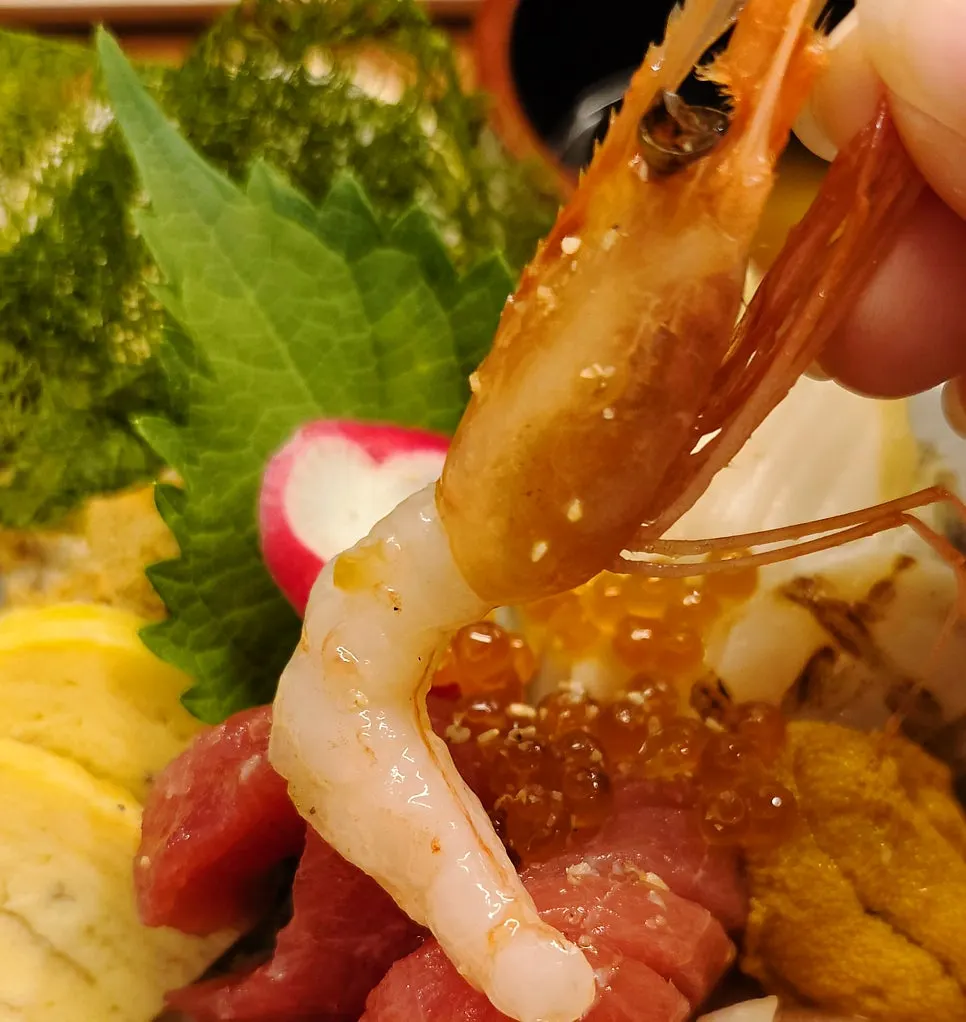 Uni and ankimo seafood toppings