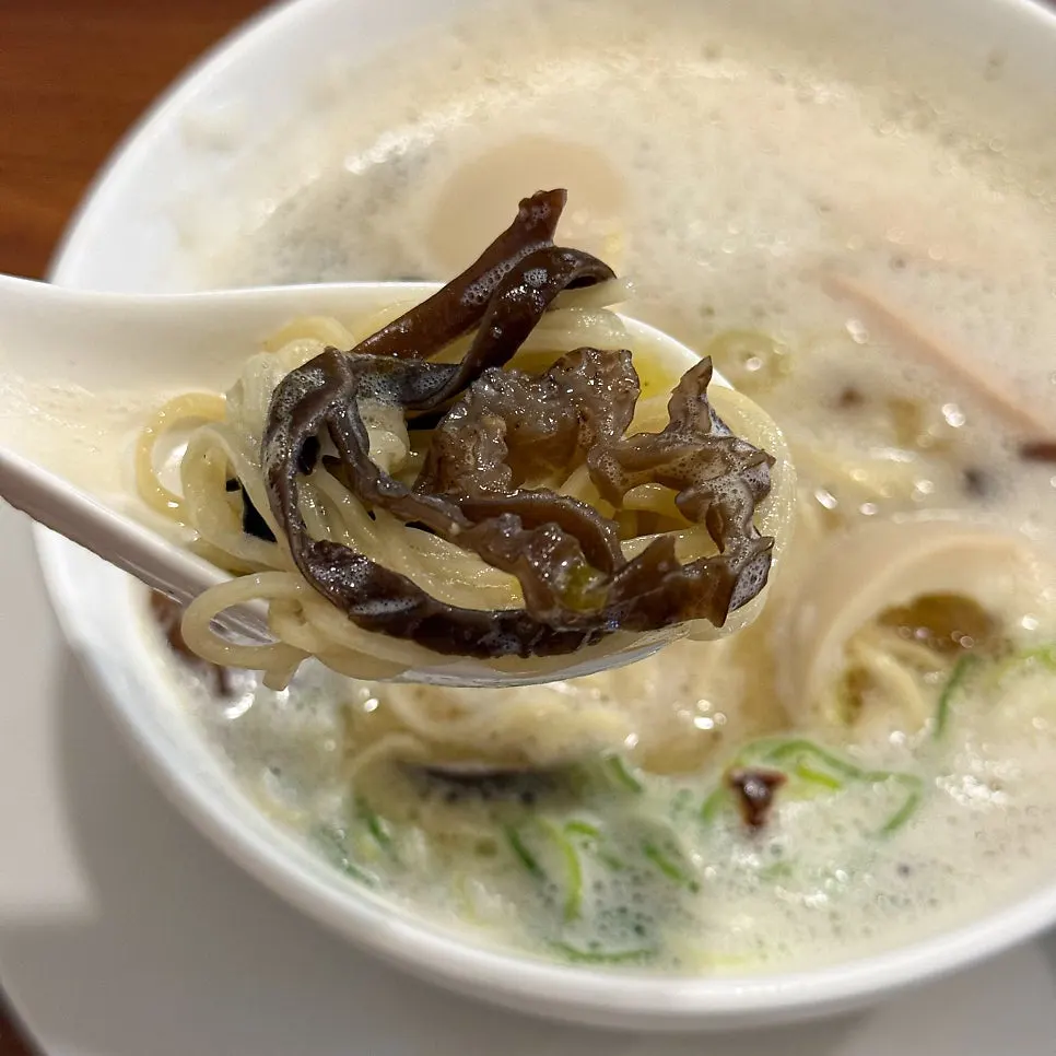 A bowl of tori paitan