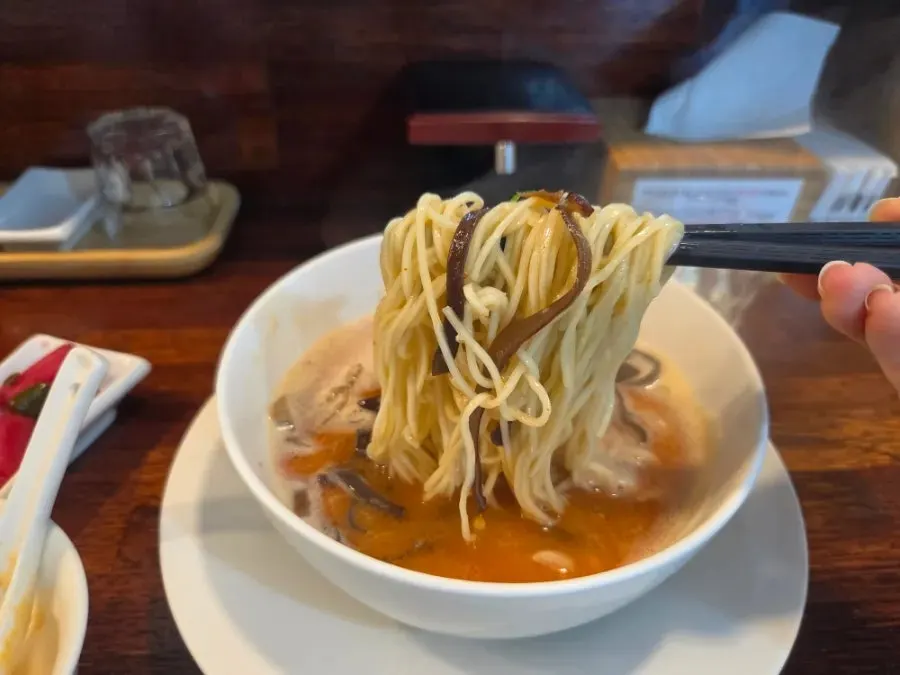 진한 닭 육수의 토리빠이탄