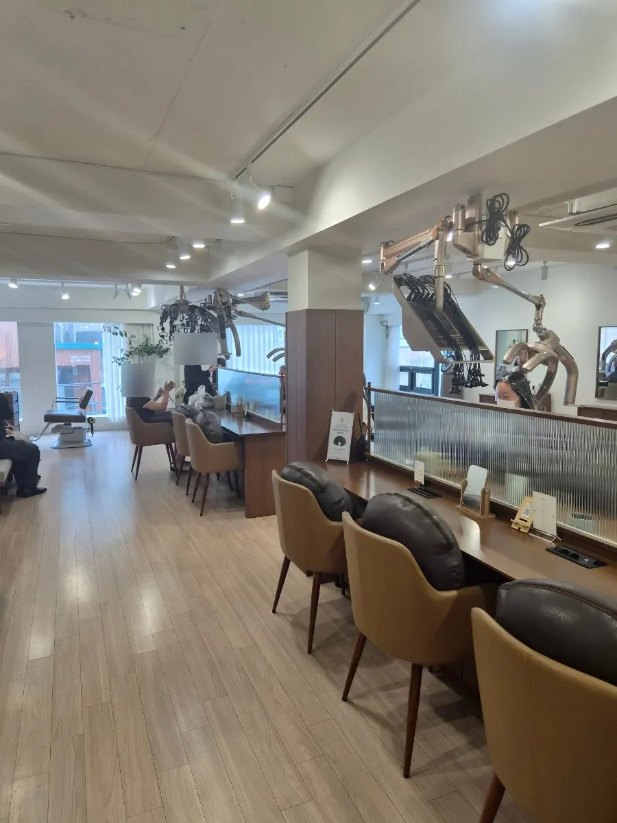 Salon interior in wood and white tones