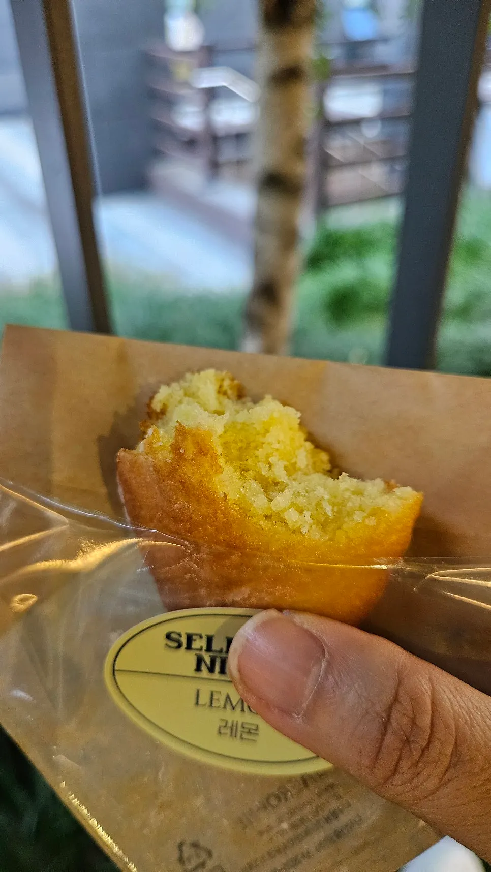 Lemon madeleine coated with lemon glaze