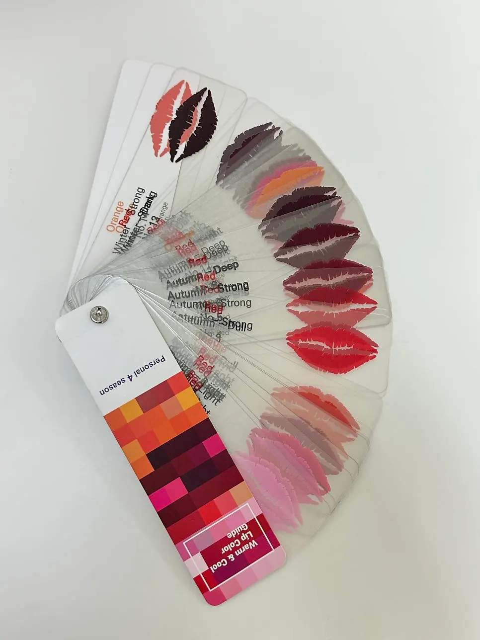 Eyebrow color chart on display