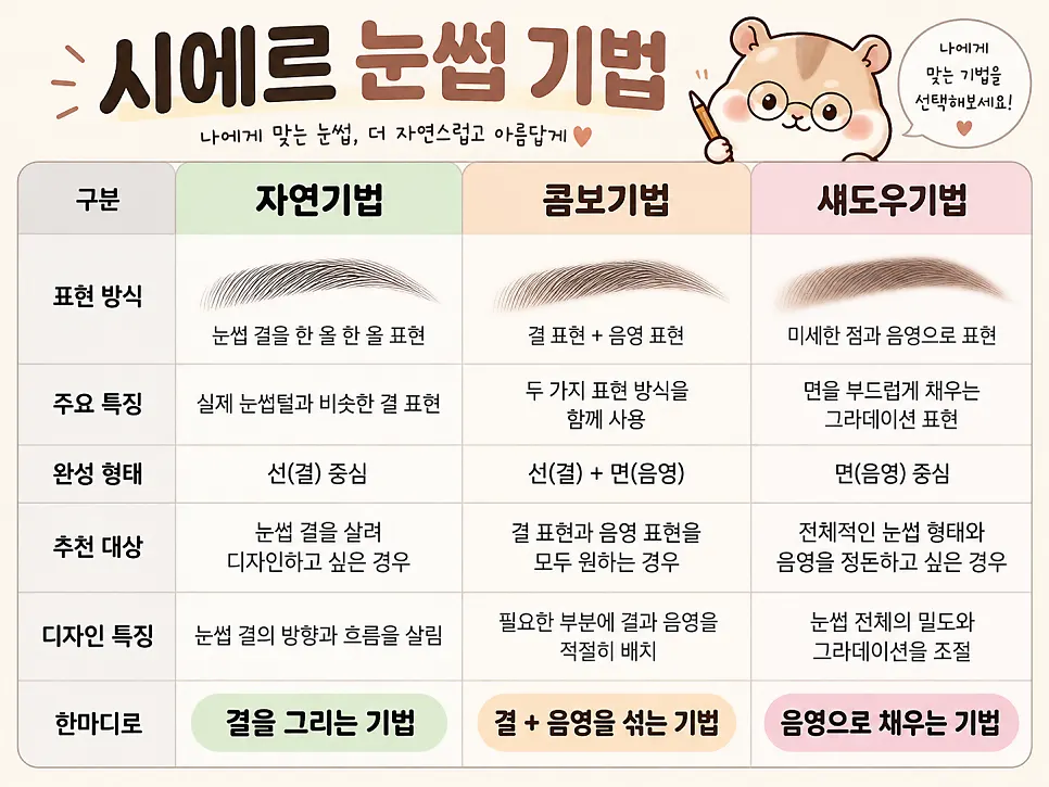 Consultation materials showing eyebrow technique options