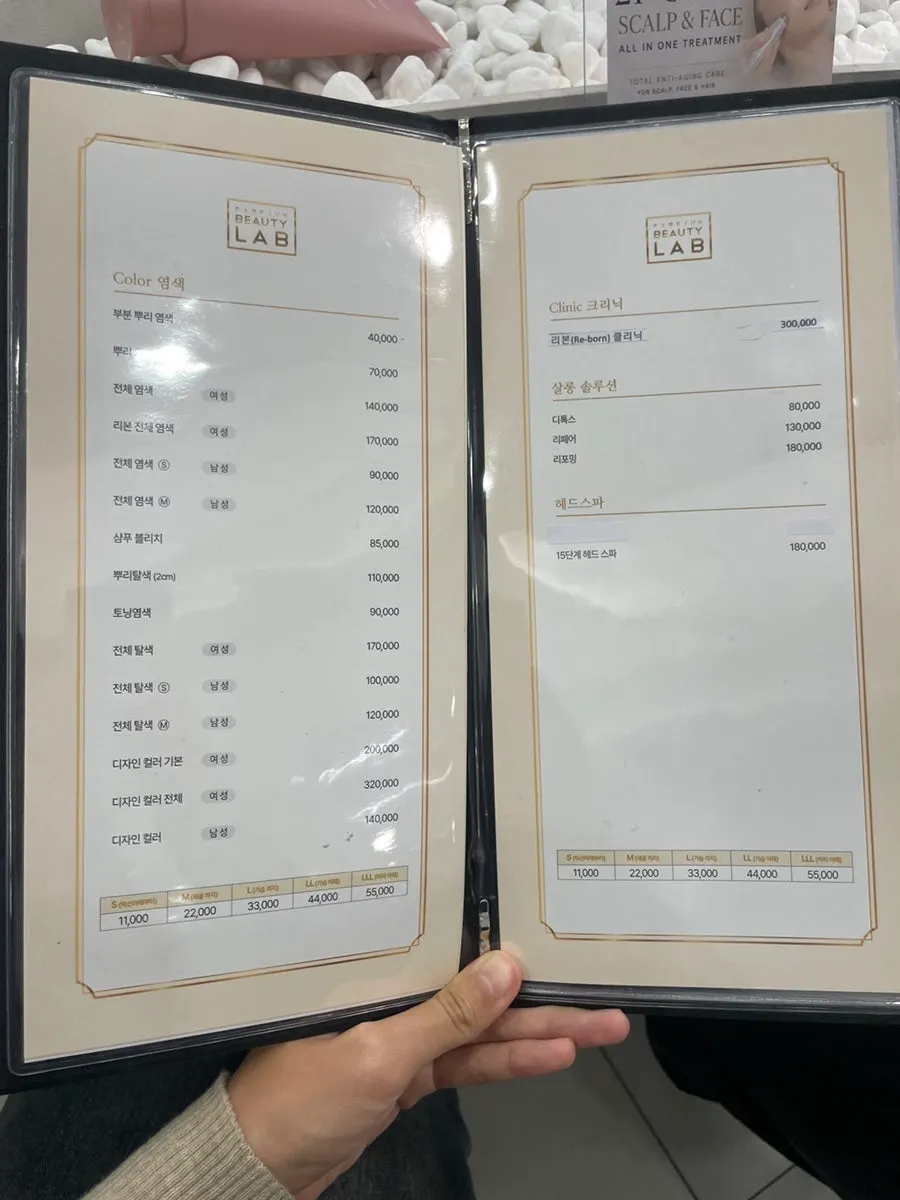 Information sheet comparing the Ribbon Clinic and Shiseido Clinic