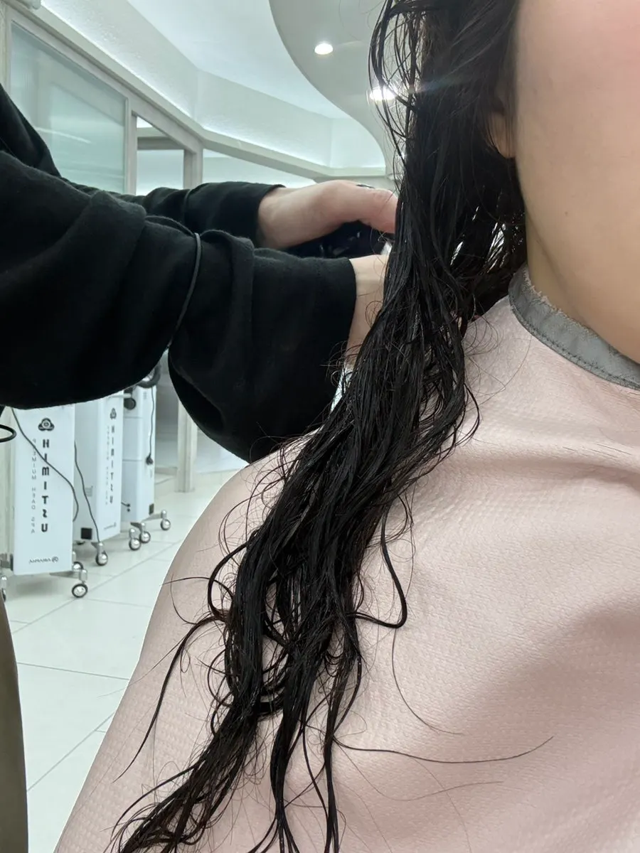 Hair before treatment, frizzy from dyeing