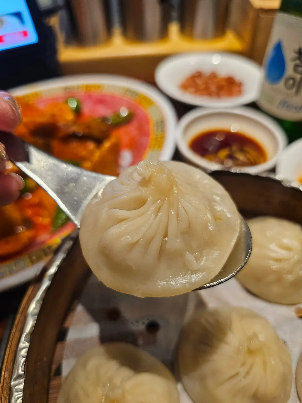 Close-up of a thin-skinned xiaolongbao dumpling