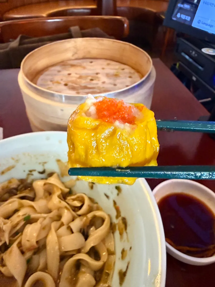 Remaining dim sum and beef noodle bowl
