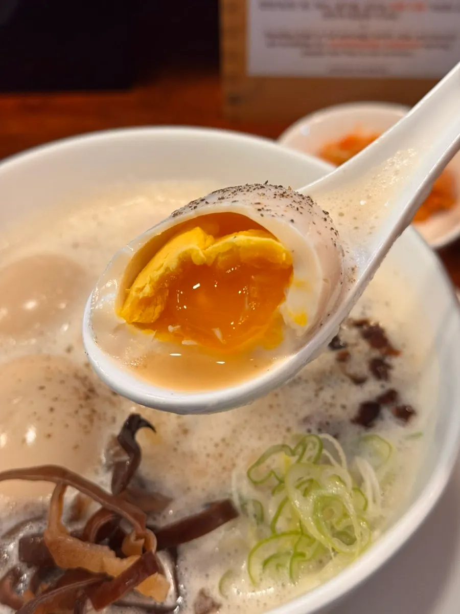 토리빠이탄 토핑과 면 사진