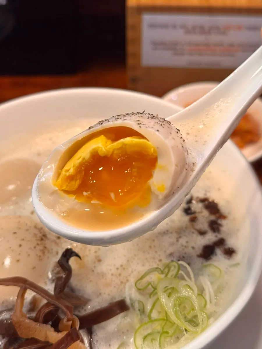 담백한 토리빠이탄 라멘 사진