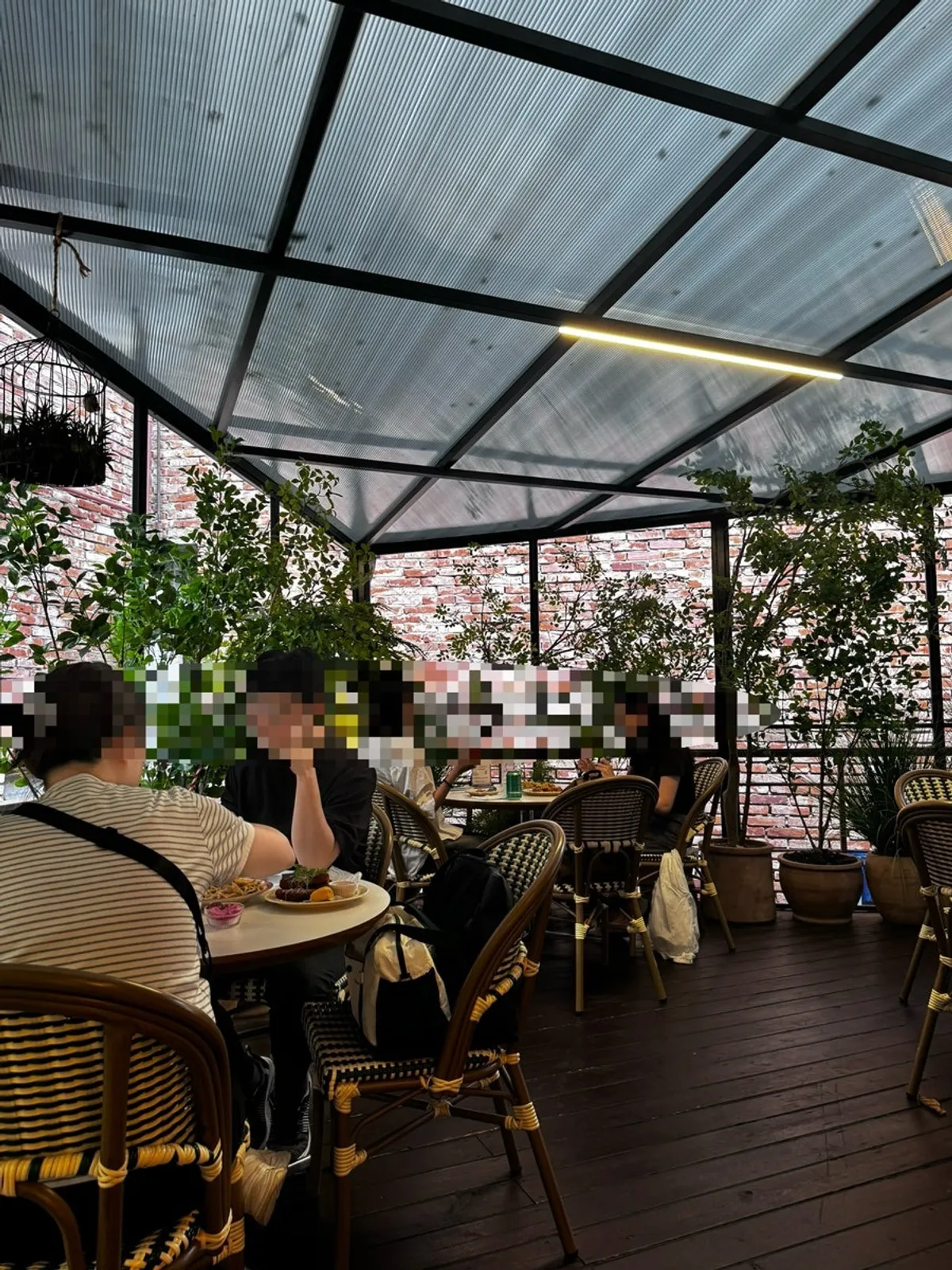 브리비트 강남역점 우드톤 인테리어와 식물이 있는 내부