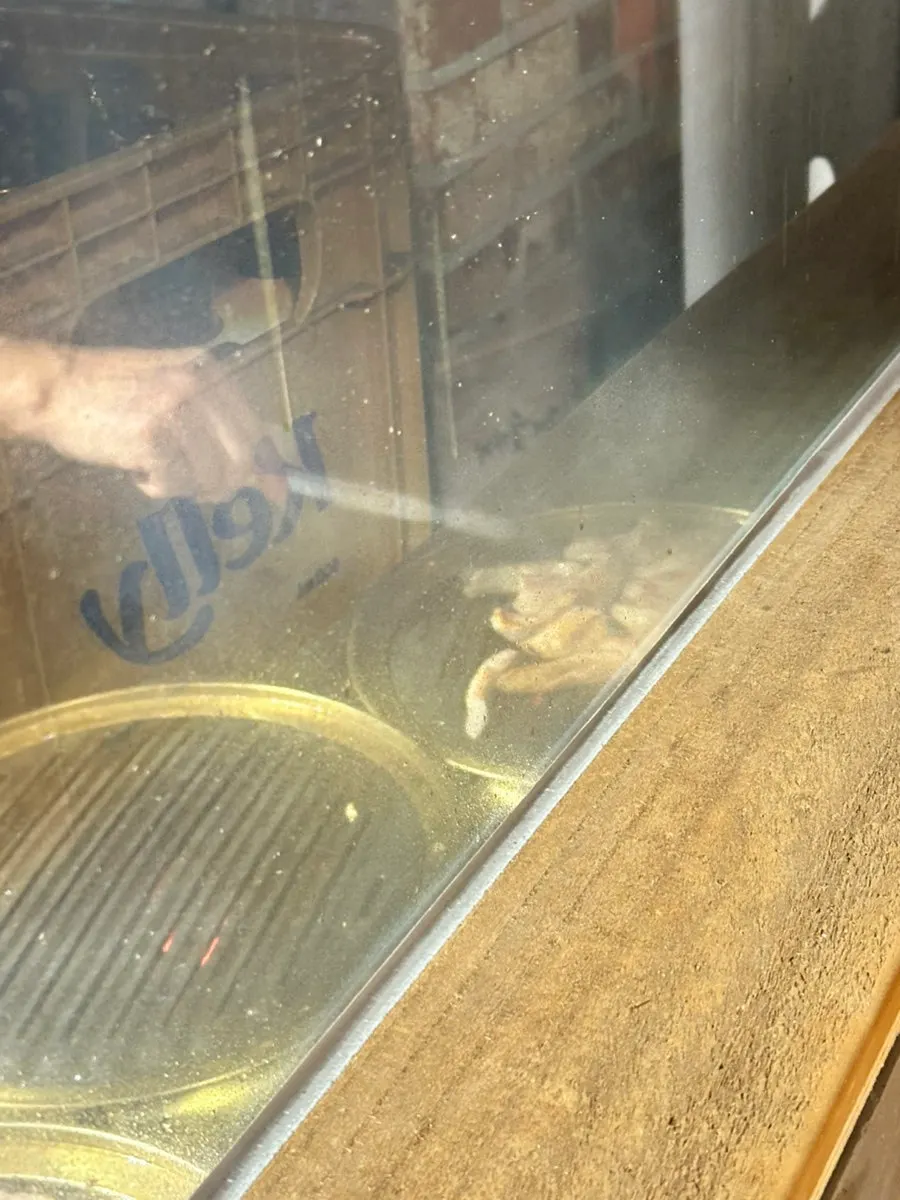 2~4인 테이블이 놓인 강남역 고깃집 홀