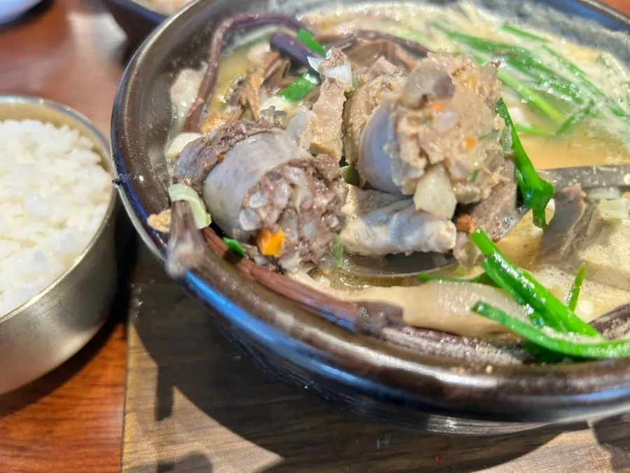 A spoonful of bracken and meat lifted from the soup