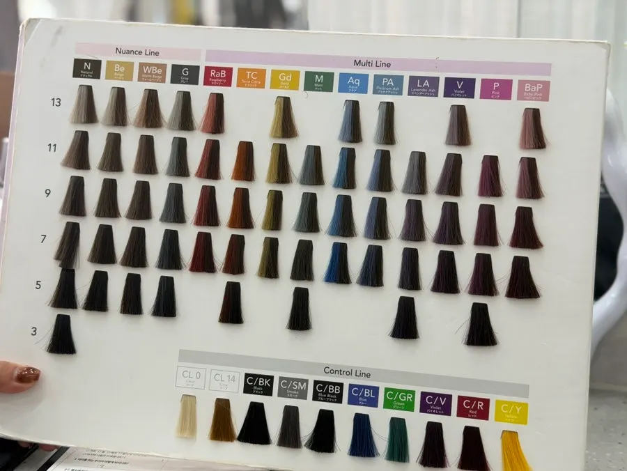 Chart filling and color consultation seat before the treatment